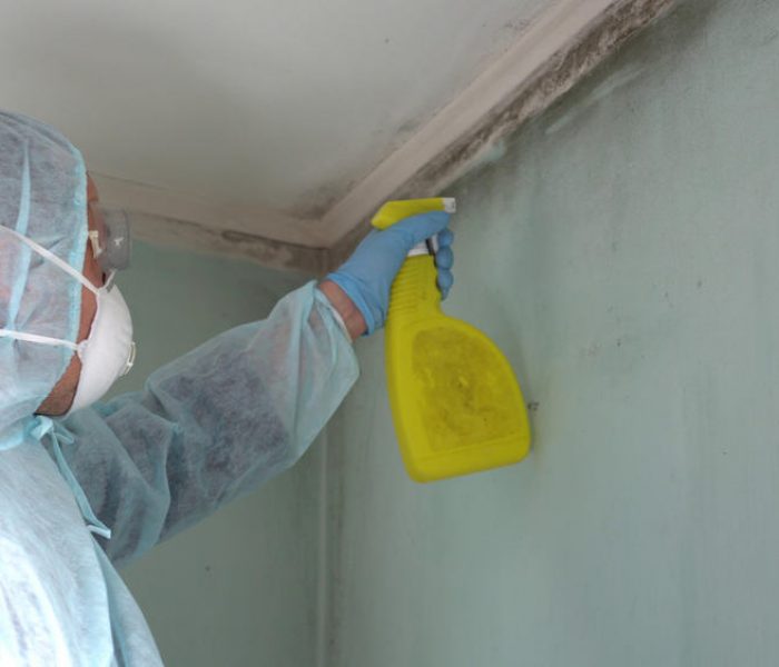 man spraying mold