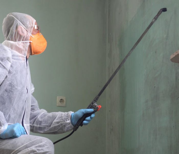 Man in protective suit removing mold